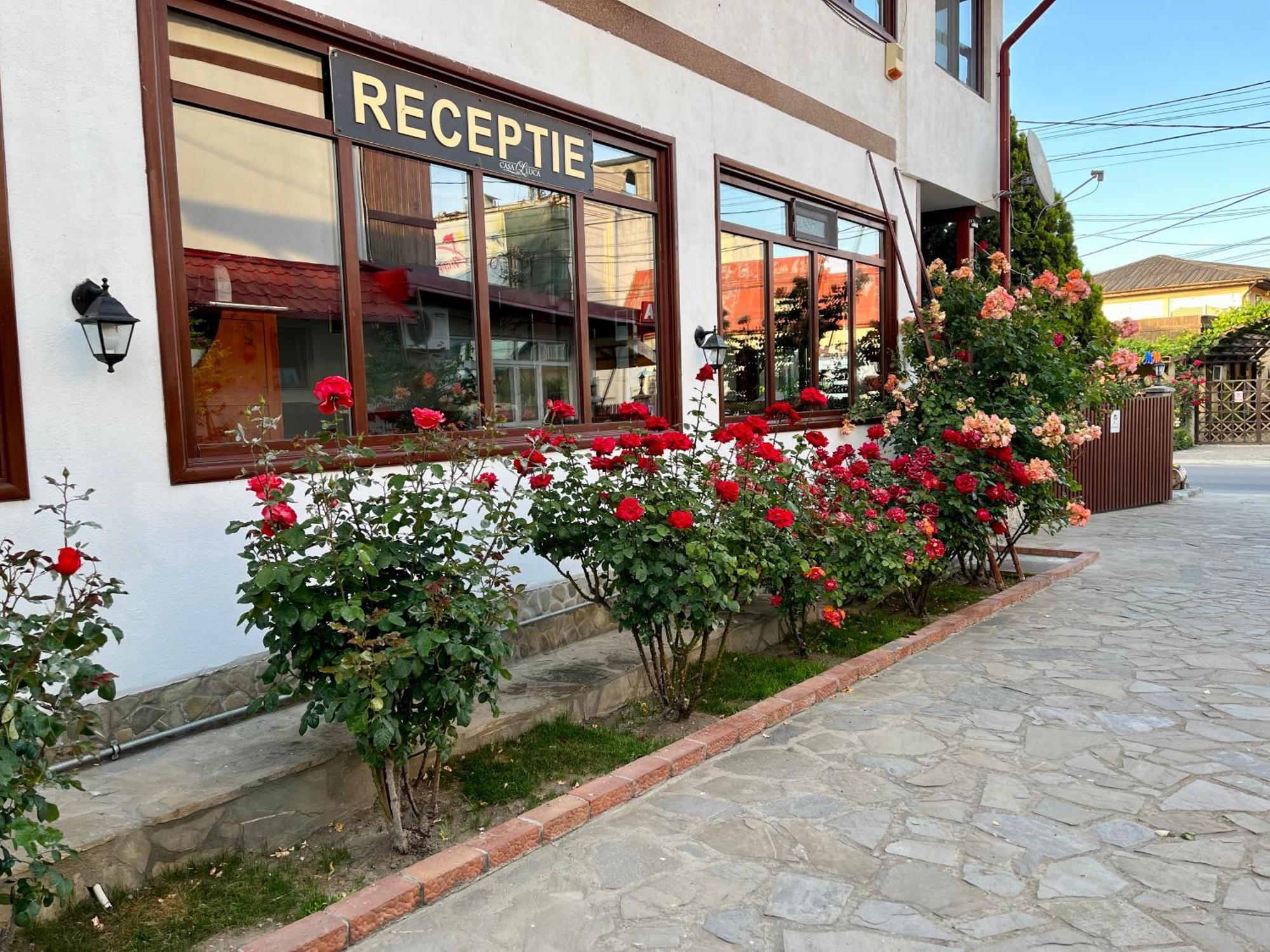 Casa Luca Otel Vama Veche Dış mekan fotoğraf