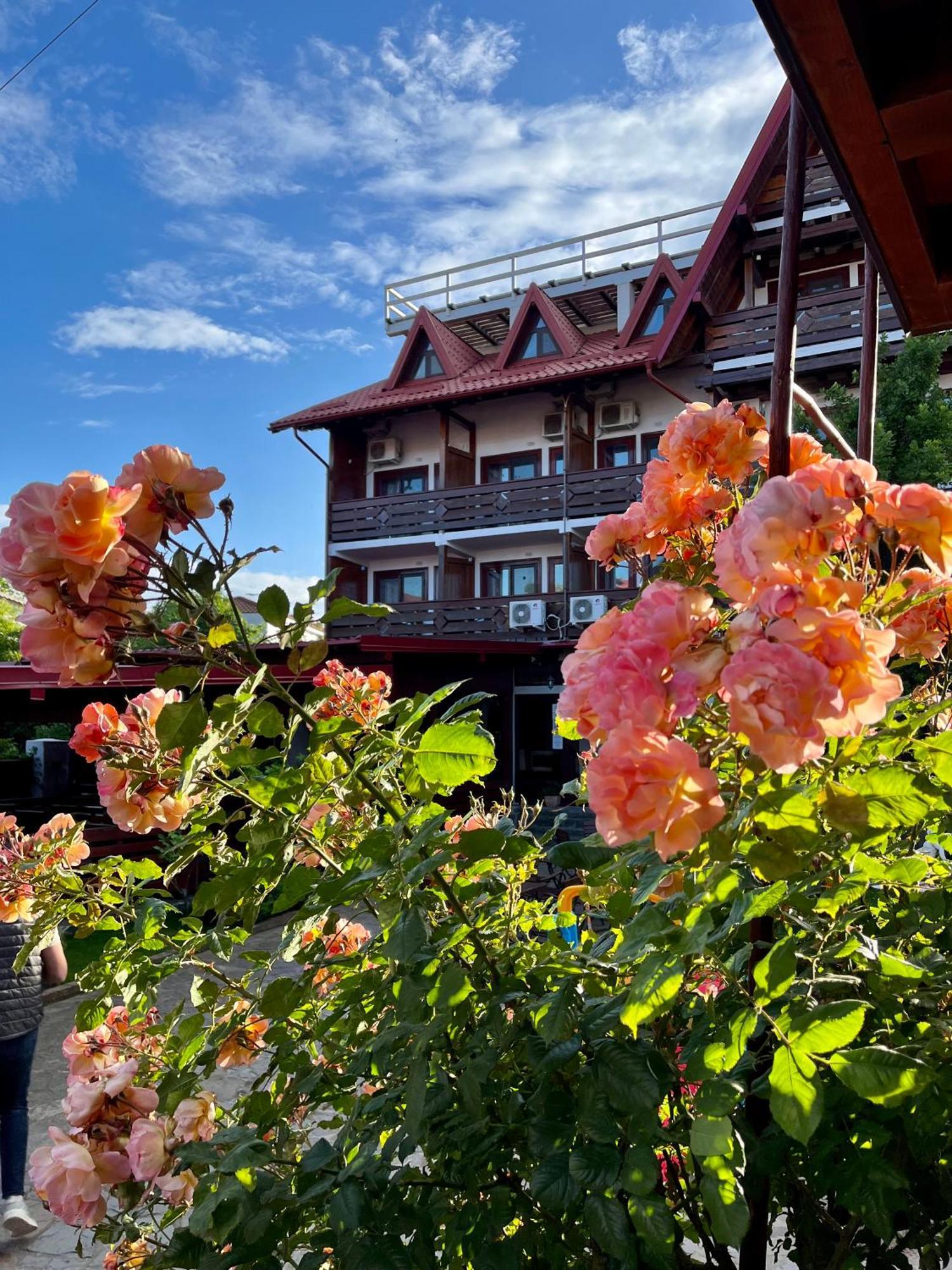 Casa Luca Otel Vama Veche Dış mekan fotoğraf