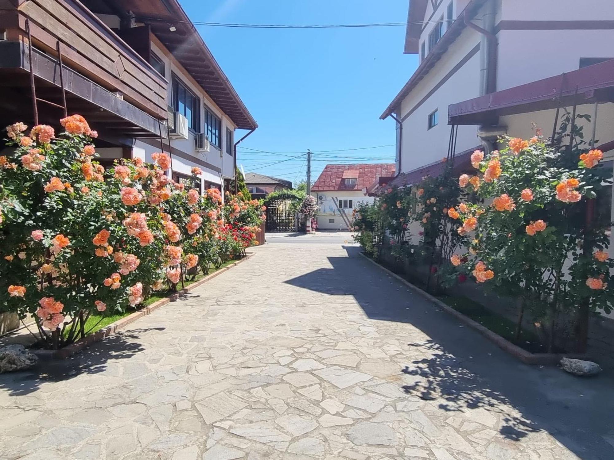 Casa Luca Otel Vama Veche Dış mekan fotoğraf