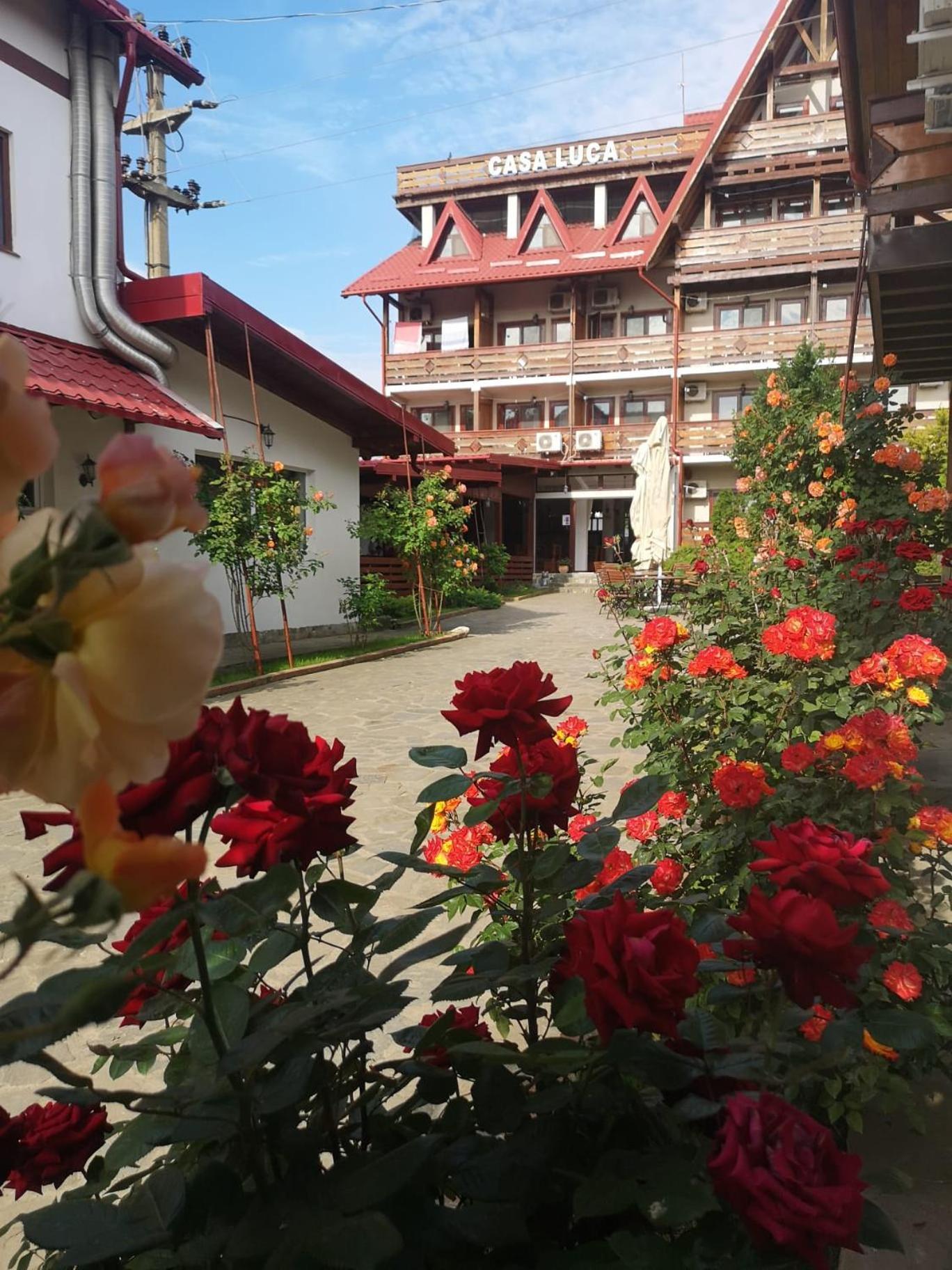 Casa Luca Otel Vama Veche Dış mekan fotoğraf